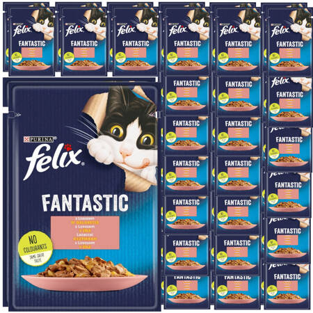 Felix Fantastic Karma Dla Kotów Łosoś W Galaretce Saszetka 48x85g