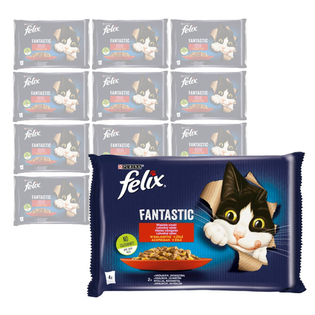 Felix Fantastic Karma Dla Kotów Wiejskie Smaki W Galaretce 12x340g (48x85g) Królik I Jagnięcina