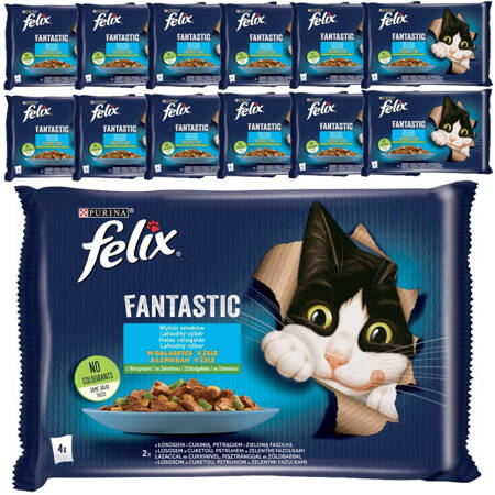 Felix Fantastic Karma Dla Kotów Wybór Smaków W Galaretce 13x340g (52x85g) Łosoś I Pstrąg