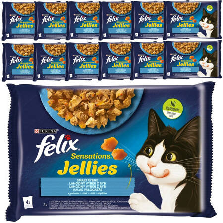 Felix Sensations Jellies Karma Dla Kotów Smaki Rybne W Galaretce 13x340g (52x85g) Łosoś Ryba Oceaniczna