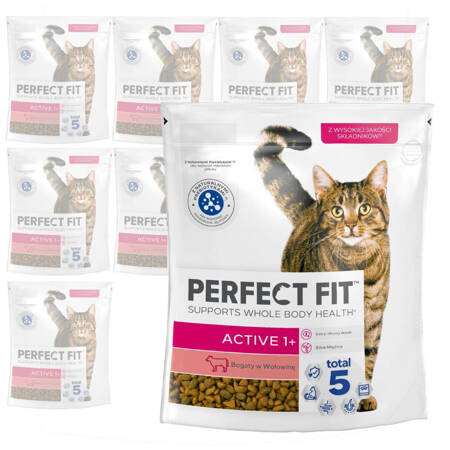 Perfect Fit Active 1+ z Wołowiną 10x750g Sucha Karma Dla Aktywnych Dorosłych Kotów