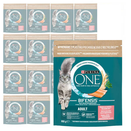 Purina One Bifensis Adult 15x800g Sucha Karma Dla Kota z Łososiem