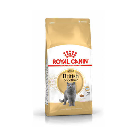 ROYAL CANIN British Shorthair 10kg karma sucha dla kotów dorosłych rasy brytyjski krótkowłosy