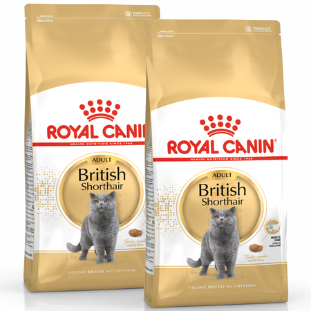 ROYAL CANIN British Shorthair 2x10kg karma sucha dla kotów dorosłych rasy brytyjski krótkowłosy