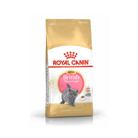 ROYAL CANIN British Shorthair Kitten 2kg karma sucha dla kociąt do 12 miesiąca rasy brytyjski krótkowłosy