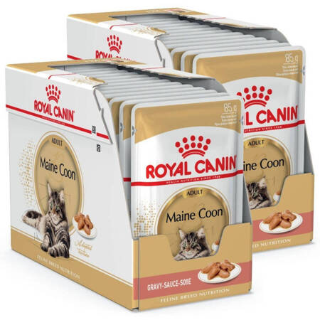 ROYAL CANIN Maine Coon 24x85g karma mokra w sosie dla kotów dorosłych rasy maine coon