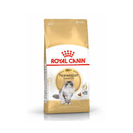 ROYAL CANIN Norvegian Forest Cat Adult 2kg karma sucha dla kotów dorosłych rasy norweski leśny