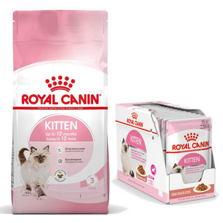 Royal Canin Fhn Kitten 10kg Karma Sucha Dla Kociąt +12x85g Mokra Karma w Sosie