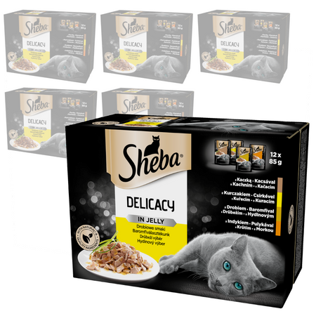 Sheba Delicacy Smaki Drobiowe W Galaretce 72x85g Mokra Karma Dla Kota