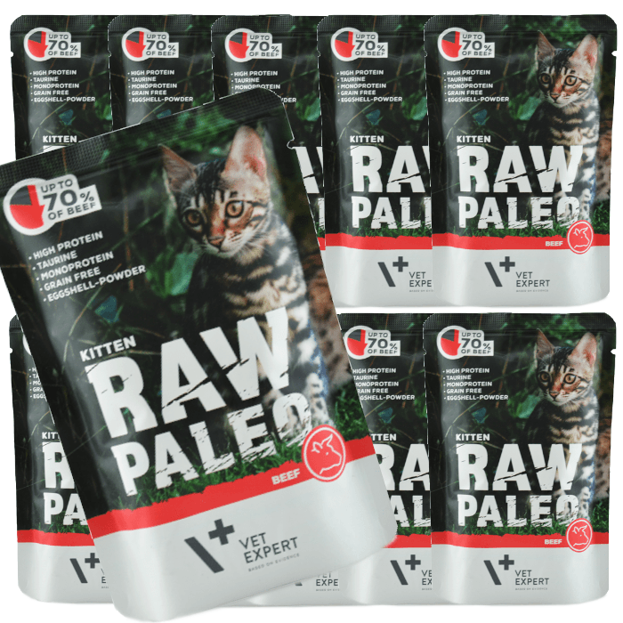 Vet Expert Raw Paleo Kitten Beef 12x100g Saszetka Karma Mokra Z Wołowiną Dla Kociąt