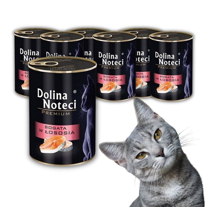 Dolina Noteci Premium dla Kota CAT Łosoś 6x400g