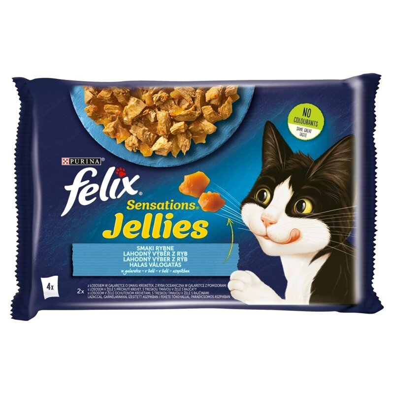 Felix Sensations Jellies Karma Dla Kotów Smaki Rybne W Galaretce 340g (4x85g) Łosoś Ryba Oceaniczna