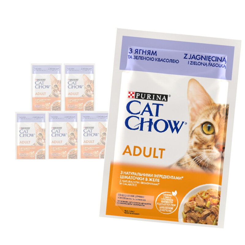 Purina Cat Chow Adult 6x85g Mokra Karma Dla Kota z Jagnięciną i Zieloną Fasolką w Galaretce