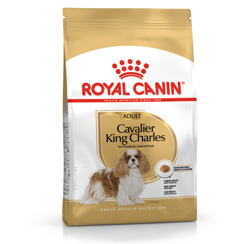 ROYAL CANIN Breed Health Nutrition CAVALIER 12kg sucha karma dla psa rasy cavalier