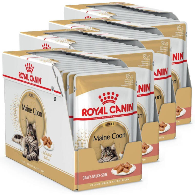 ROYAL CANIN Maine Coon 48x85g karma mokra w sosie dla kotów dorosłych rasy maine coon