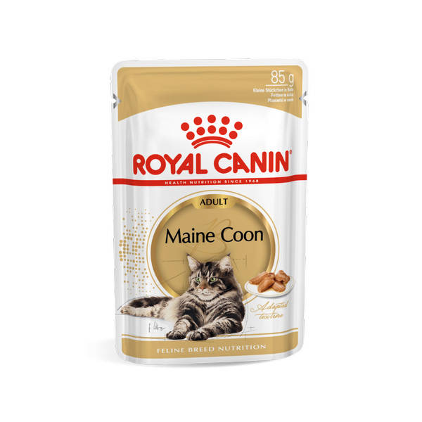 ROYAL CANIN Maine Coon 85g karma mokra w sosie dla kotów dorosłych rasy maine coon