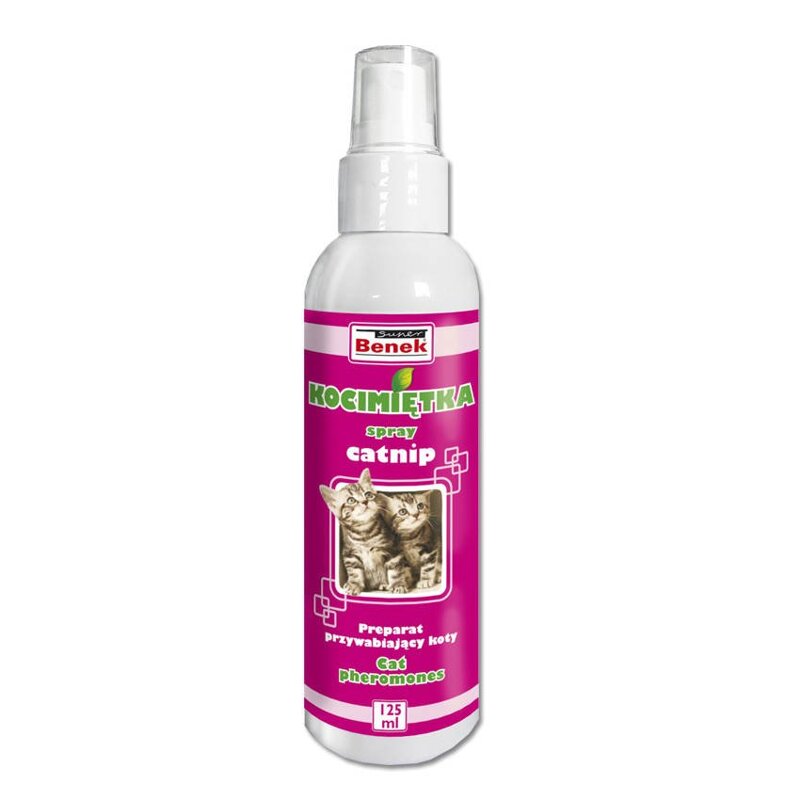 Super Benek Kocimiętka Catnip 125ml Preparat Zachęcający dla Kotów