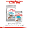 Royal Canin CCN Urinary Care 24x85g Karma Mokra Pasztet Dla Psów Ochrona Dolnych Dróg Moczowych