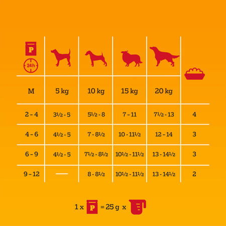 Pedigree Junior Wybór Smaków 80x100g Mokra Karma Dla Szczeniąt  Wołowina Kurczak Jagnięcina Ryż W Galaretce