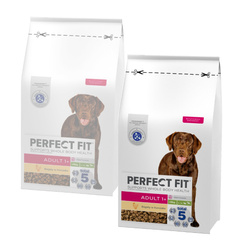 Perfect Fit 2x6kg Pełnoporcjowa Sucha Karma Dla Dorosłych Psów Średnich I Dużych Ras Kurczak