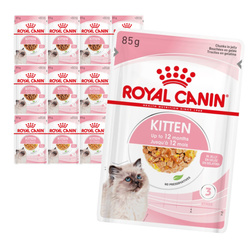 Royal Canin FHN Kitten Instinctive 12x85g Karma Mokra W Sosie i Galaretce Dla Kociąt Do 12 Miesiąca Życia