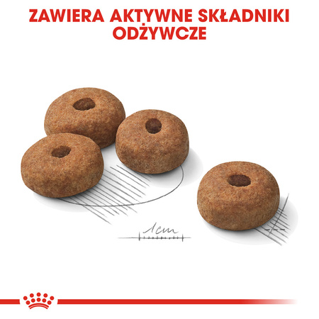 Royal Canin CCN Maxi Sterilised 12kg Karma Sucha Dla Psów Dorosłych Ras Dużych Sterylizowanych