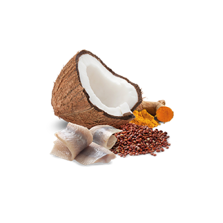 Farmina N&D Dog Quinoa Skin & Coat Herring 285g Mokra Karma Dla Psów Z Wrażliwą Skórą I Alergiami Śledź Z Kokosem