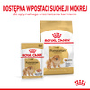 Royal Canin BHN Pomeranian Adult 1,5kg Karma Sucha Dla Psów Dorosłych Rasy Szpic Miniaturowy