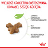 Royal Canin Fhn Kitten 10kg Karma Sucha Dla Kociąt +24x85g Mokra Karma w Sosie