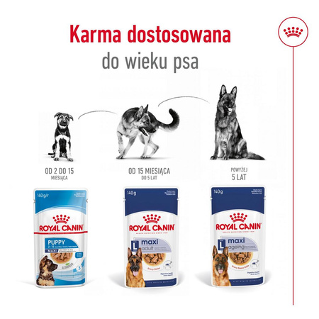 Royal Canin Maxi Adult 10x140g Karma Mokra W Sosie Dla Psów Dorosłych Ras Dużych