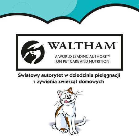 Dreamies z Wybornym Łososiem 60g Przysmaki dla kota