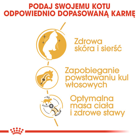Royal Canin FBN Norvegian Forest Cat Adult 2kg Karma Sucha Dla Kotów Dorosłych Rasy Norweski Leśny