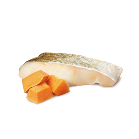 Farmina N&D Dog Ocean Cod Pumpkin Puppy 140g Mokra Karma dla Szczeniąt Dorsz i Dynia