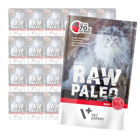 Vet Expert Raw Paleo Adult Beef 24x100g Saszetka Karma Mokra z Wołowiną Dla Kota