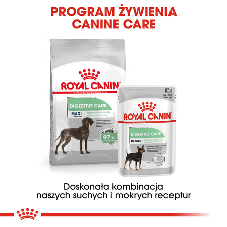 Royal Canin CCN Maxi Digestive Care 12kg Karma Sucha Dla Psów Ras Dużych O Wrażliwym Przewodzie Pokarmowym