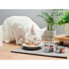 John Dog for Cats Mokra Karma Dla Dorosłych Kotów Filety Z Łososia 12x70g