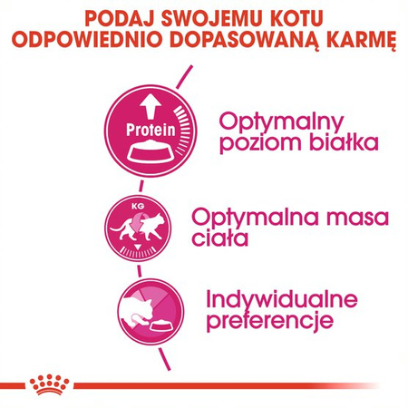 Royal Canin Exigent Protein Preference 10kg Karma Sucha Dla Kotów Dorosłych Wybrednych Kierujących Się Zawartością Białka