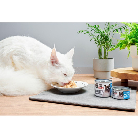 John Dog for Cats Mokra Karma Dla Dorosłych Kotów Tuńczyk Z Kurczakiem 12x70g