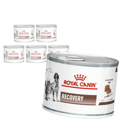 Royal Canin Veterinary VHN Recovery Mousse 6x195g Mokra Karma Mus Dla Psów i Kotów Rekonwalescencja