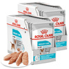 Royal Canin CCN Urinary Care 24x85g Karma Mokra Pasztet Dla Psów Ochrona Dolnych Dróg Moczowych