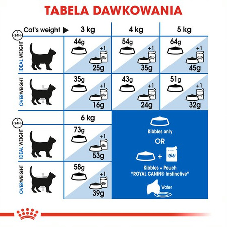Royal Canin Indoor Long Hair 10kg Karma Sucha Dla Kotów Dorosłych Długowłosych Przebywających Wyłącznie W Domu