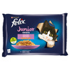 Felix Fantastic Junior Karma Dla Kociąt Wybór Smaków W Galaretce 8x340g (32x85g) Kurczak I Łosoś