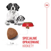 Royal Canin Medium Starter Mother&Babydog 15kg Karma Sucha Dla Suk W Ciąży I Okresie Laktacji Oraz Szczeniąt Ras Średnich