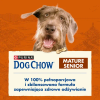 Purina Dog Chow Mature Senior 14kg Sucha Karma Dla Starszych Psów z Kurczakiem