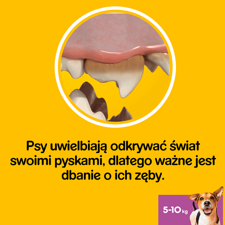 PEDIGREE DentaStix małe rasy Gryzak dla psów 2+1 GRATIS