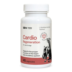 LAB-V Cardio Regeneration Suplement Dla Psów i Kotów 45 Kapsułek Wsparcie Prawidłowego Funkcjonowania Pracy Serca i Układu Krążenia