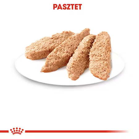 Royal Canin Kitten 85g Pełnoporcjowa Mokra Karma Dla Kociąt Do 12 Miesiąca Życia Pasztet