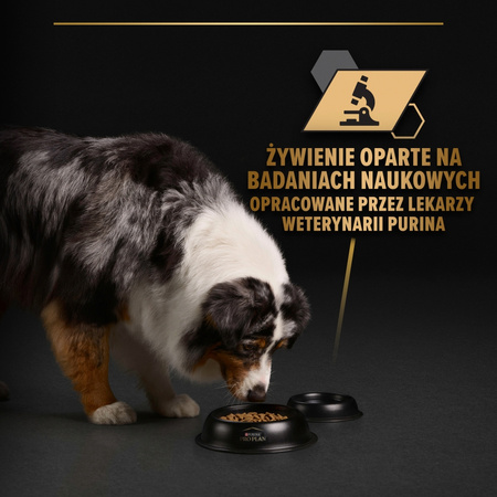 Purina Pro Plan Everyday Nutrition All Size Adult 400g Mokra Karma Dla Psa Bogata w Rybę w Galaretce