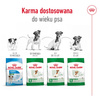 Royal Canin Adult Mini Sucha Karma Dla Psów Małych Ras 4kg