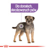 Royal Canin CCN Sterilised 24x85g Karma Mokra Pasztet Dla Psów Dorosłych Sterylizowanych